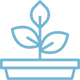 icône d'une plante